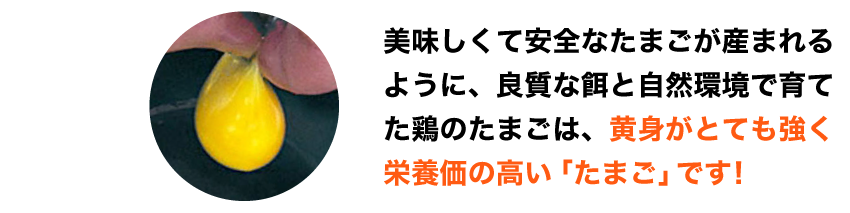 美味しくて安全なたまごが産まれるように、良質な餌と自然環境で育てた鶏のたまごは、黄身がとても強く栄養価の高い「たまご」です！