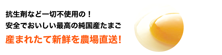 抗生剤など一切不使用の安全でおいしい最高の純国産たまご。産まれたて新鮮を農場直送！