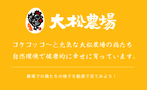 コケコッコ〜と元気な大松農場の鶏たち自然環境で健康的に幸せに育っています。